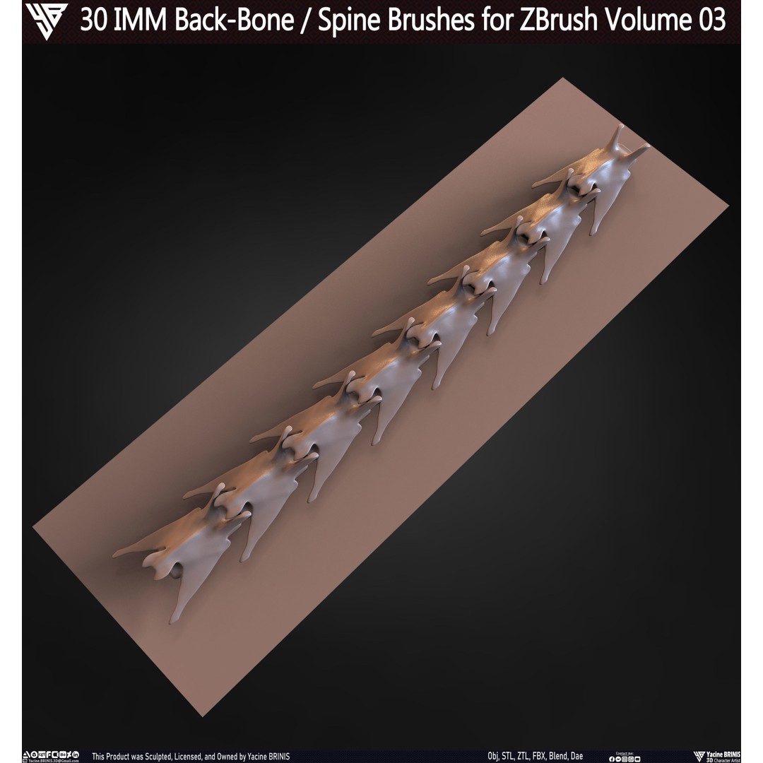 30 IMM Back-Bone 3D Model – Low Poly ZBrush Brushes for Anatomy - View 71