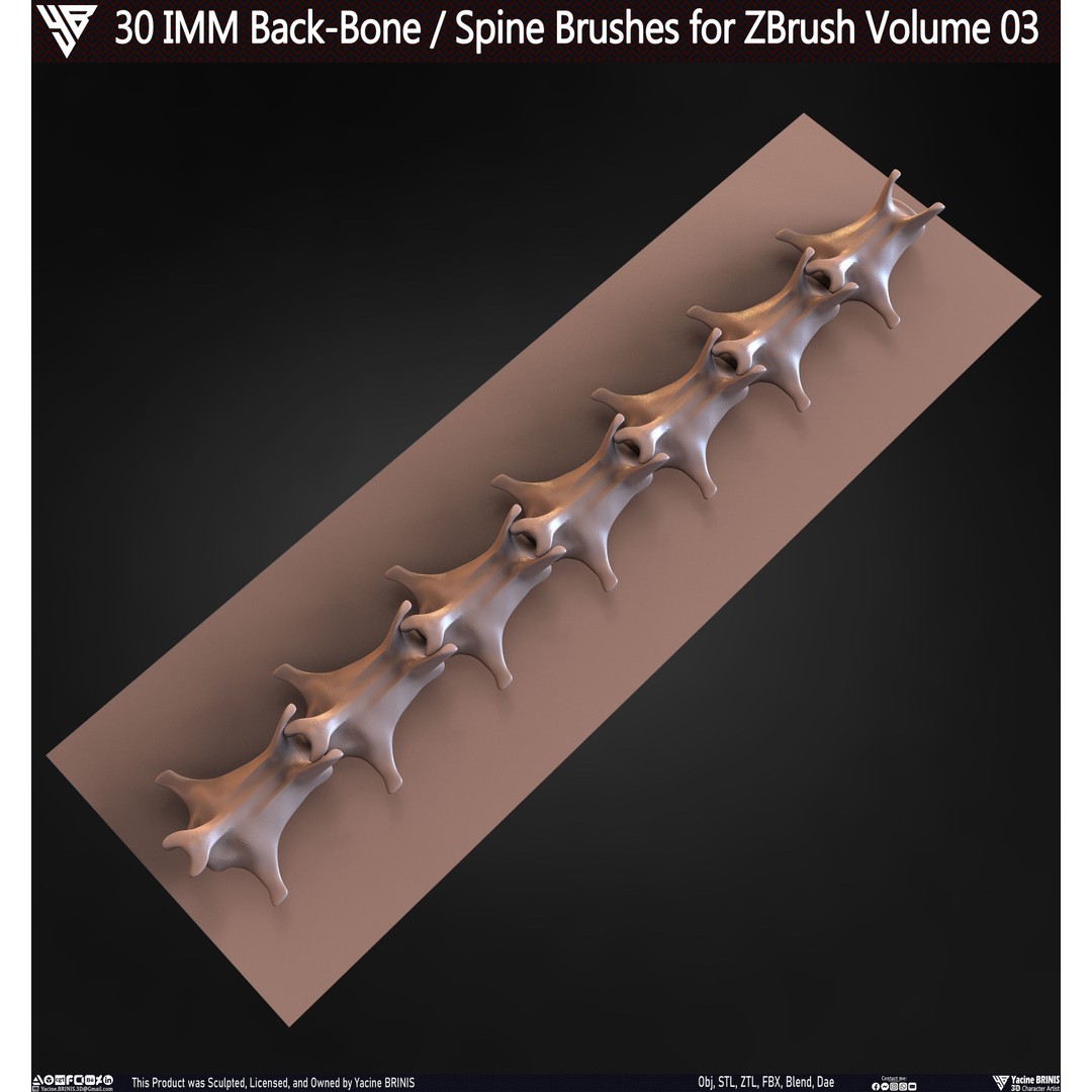 30 IMM Back-Bone 3D Model – Low Poly ZBrush Brushes for Anatomy - View 72