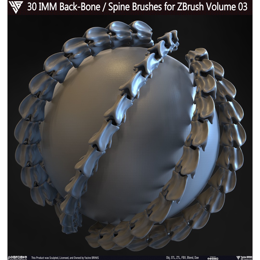 30 IMM Back-Bone 3D Model – Low Poly ZBrush Brushes for Anatomy - View 8