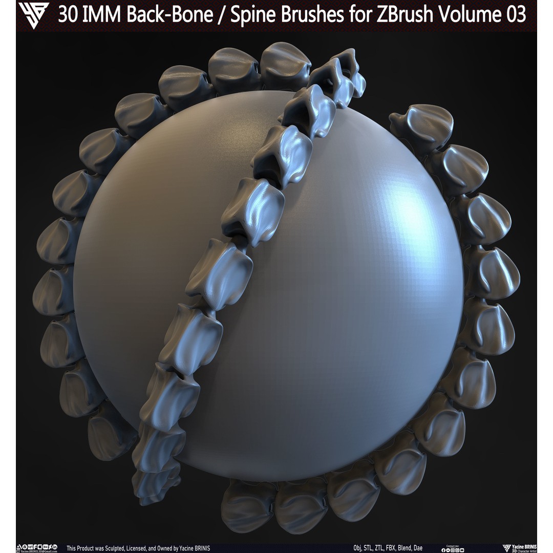 30 IMM Back-Bone 3D Model – Low Poly ZBrush Brushes for Anatomy - View 9