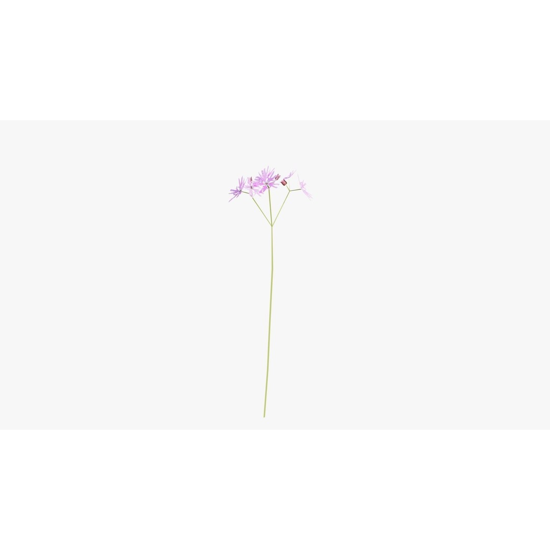 Pink Wild Flower Field 3D Model – Low Poly Scatterable Asset, Blender - View 11
