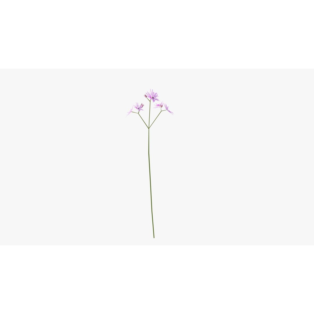 Pink Wild Flower Field 3D Model – Low Poly Scatterable Asset, Blender - View 12