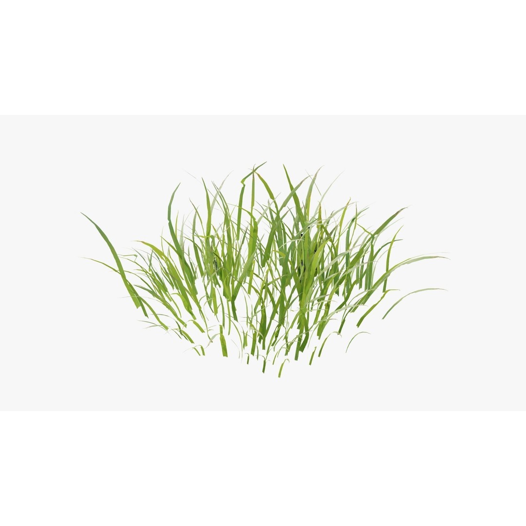 Pink Wild Flower Field 3D Model – Low Poly Scatterable Asset, Blender - View 18