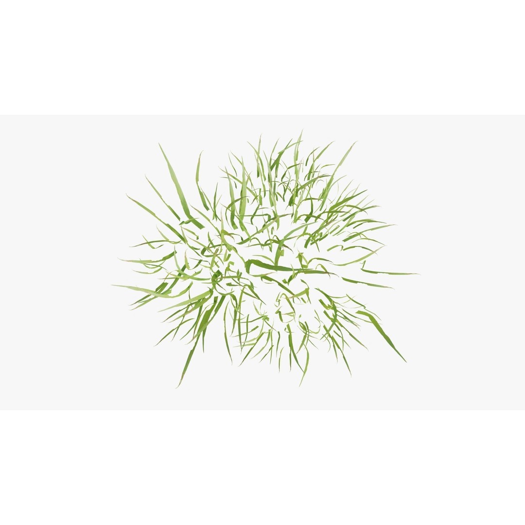 Pink Wild Flower Field 3D Model – Low Poly Scatterable Asset, Blender - View 19