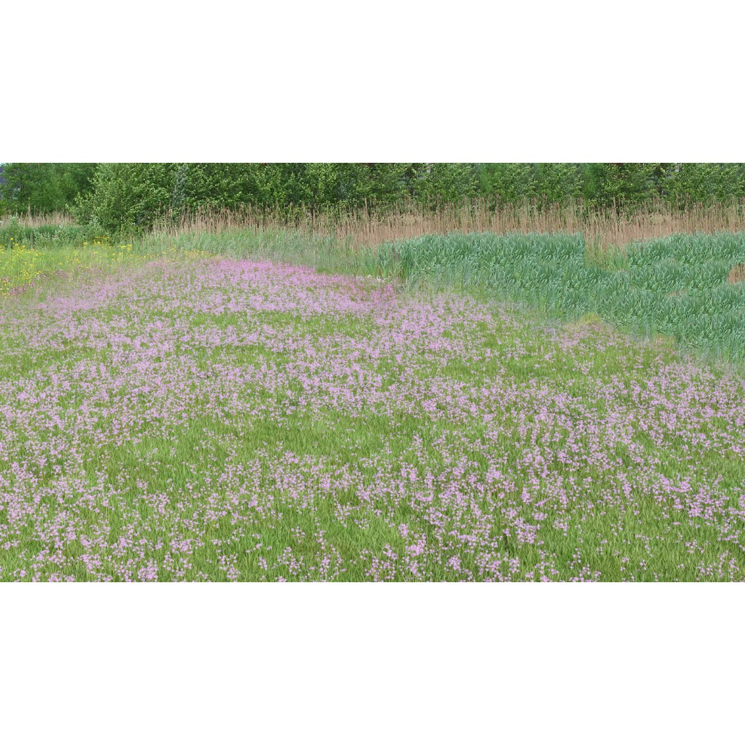 Pink Wild Flower Field 3D Model – Low Poly Scatterable Asset, Blender - View 2