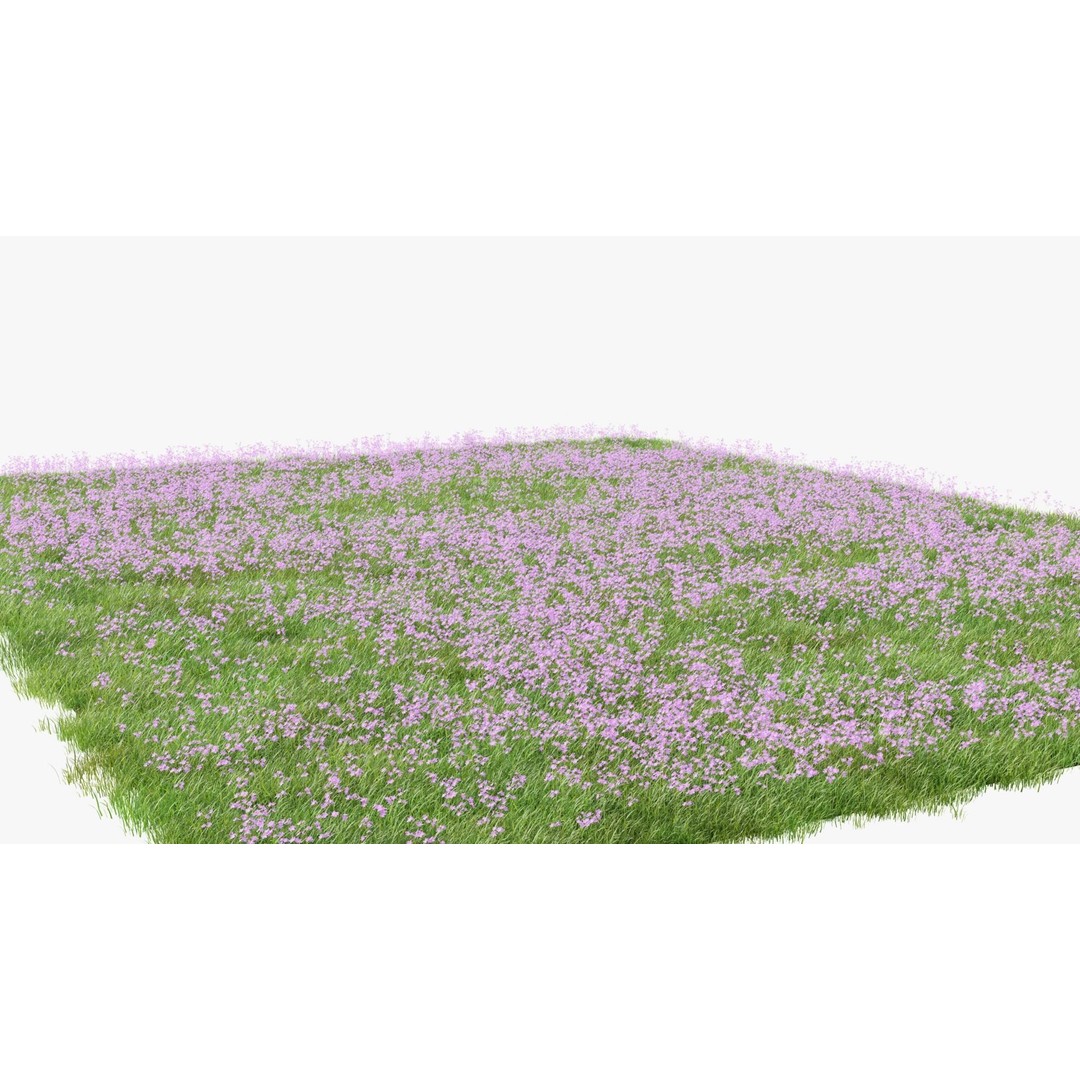 Pink Wild Flower Field 3D Model – Low Poly Scatterable Asset, Blender - View 3