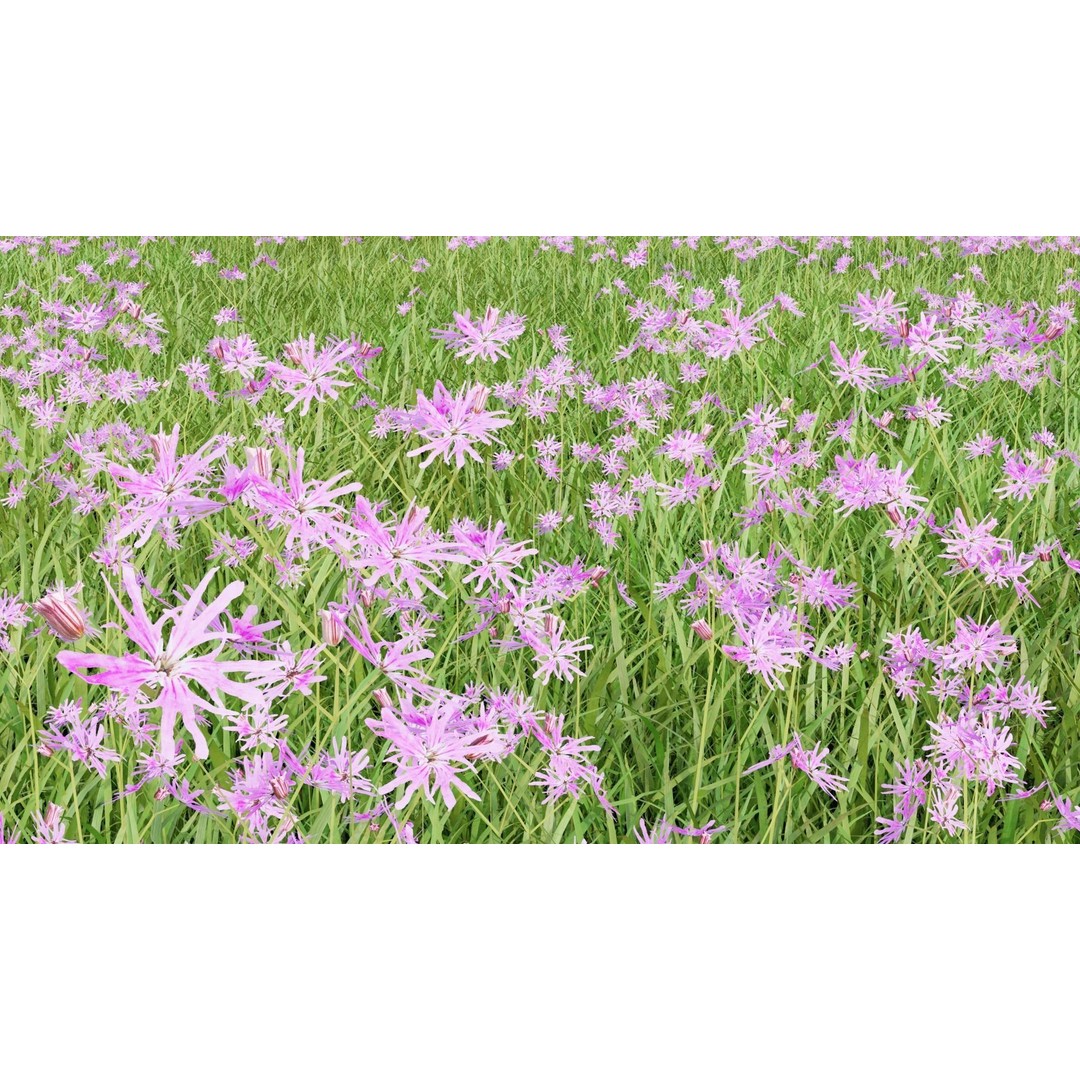 Pink Wild Flower Field 3D Model – Low Poly Scatterable Asset, Blender - View 4