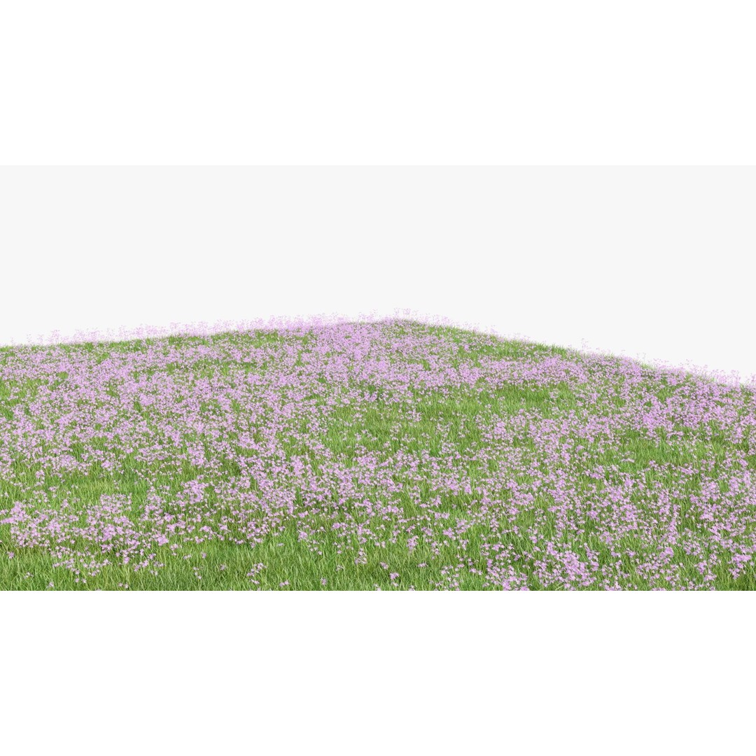 Pink Wild Flower Field 3D Model – Low Poly Scatterable Asset, Blender - View 6