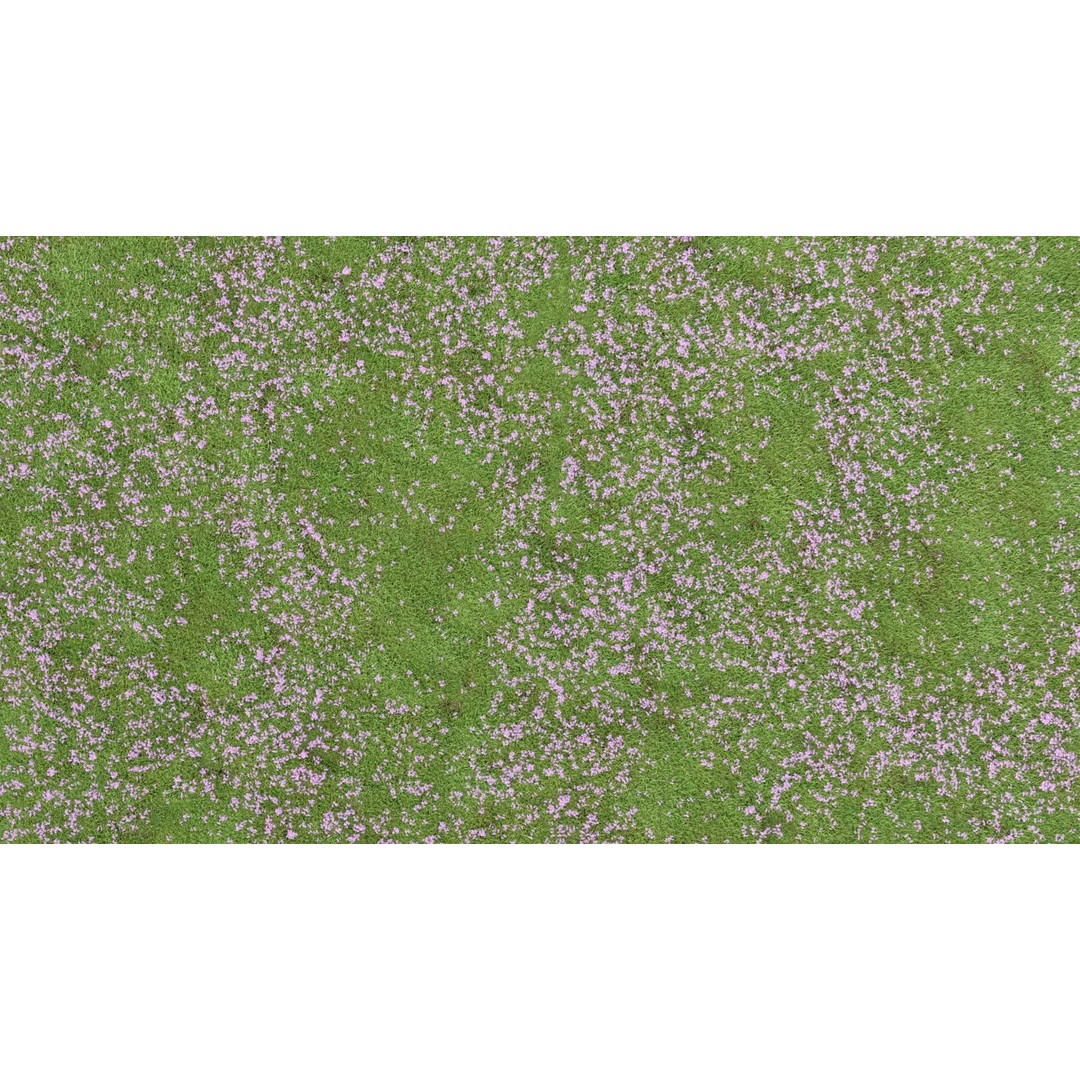 Pink Wild Flower Field 3D Model – Low Poly Scatterable Asset, Blender - View 7
