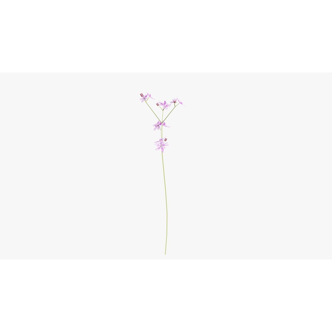 Pink Wild Flower Field 3D Model – Low Poly Scatterable Asset, Blender - View 8