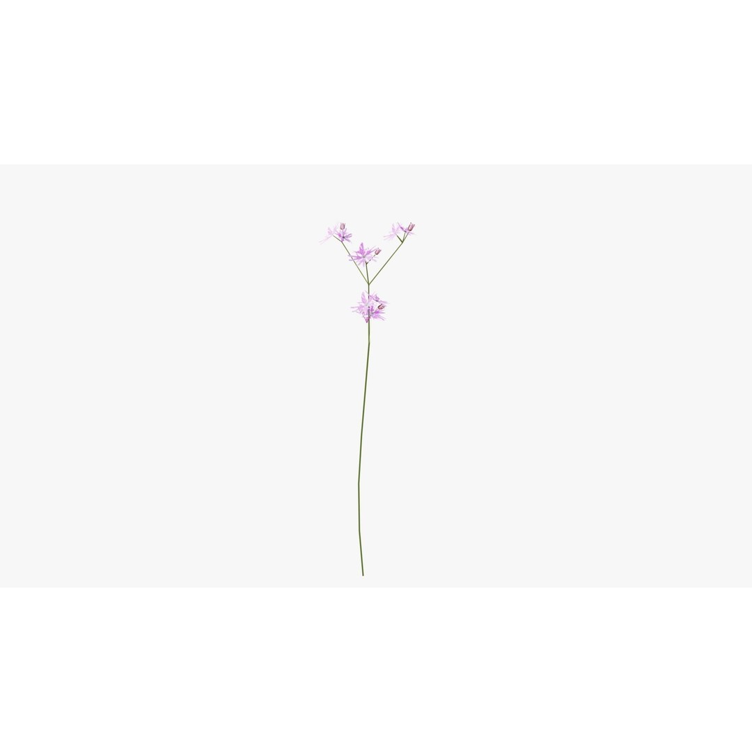 Pink Wild Flower Field 3D Model – Low Poly Scatterable Asset, Blender - View 9