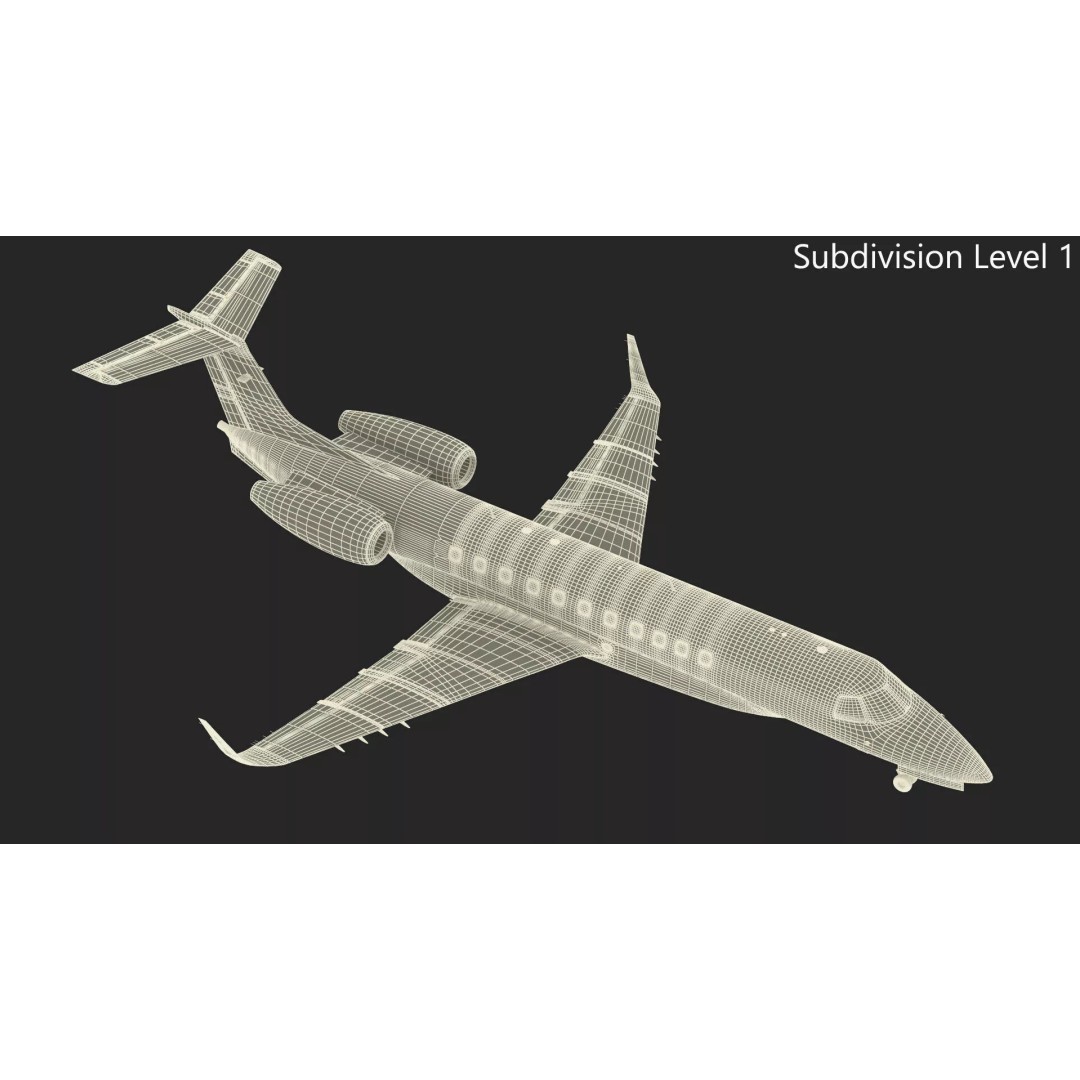 Private Jet Aircraft 650E 3D Model – Luxury Rigged Interior, FBX/OBJ - View 28