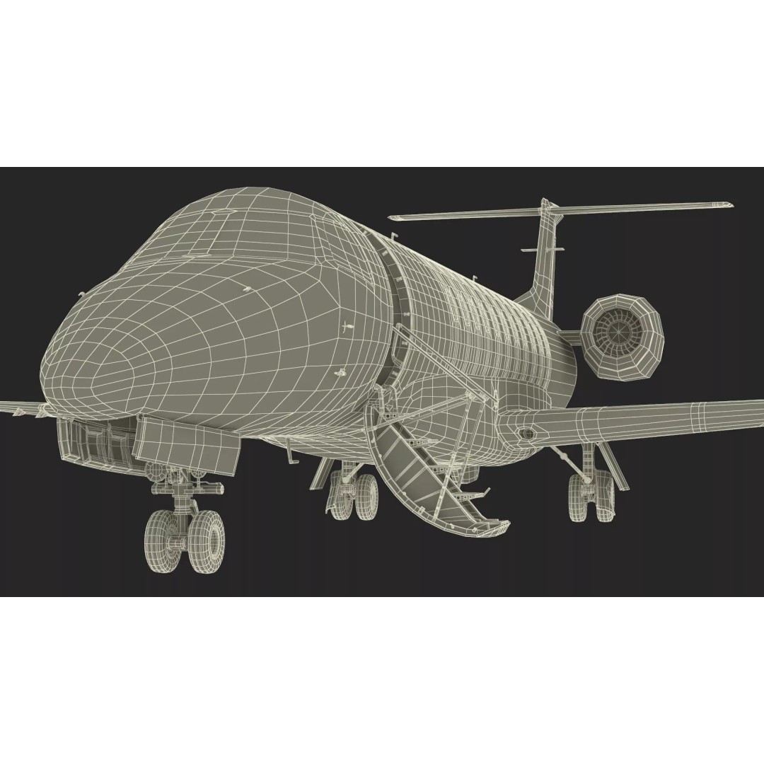 Private Jet Aircraft 650E 3D Model – Luxury Rigged Interior, FBX/OBJ - View 33