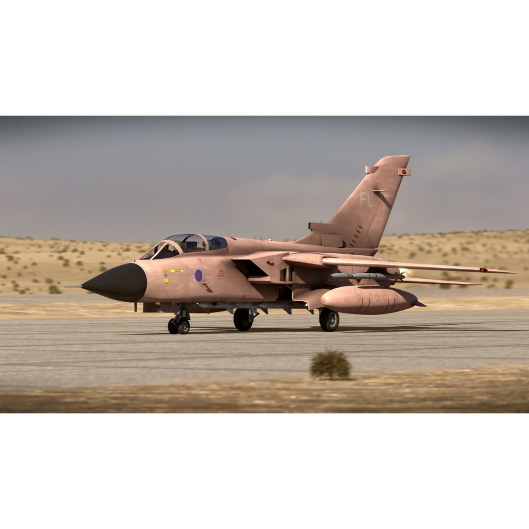 Panavia Tornado ADV F3 3D Model – Rigged Military Aircraft, FBX - View 3