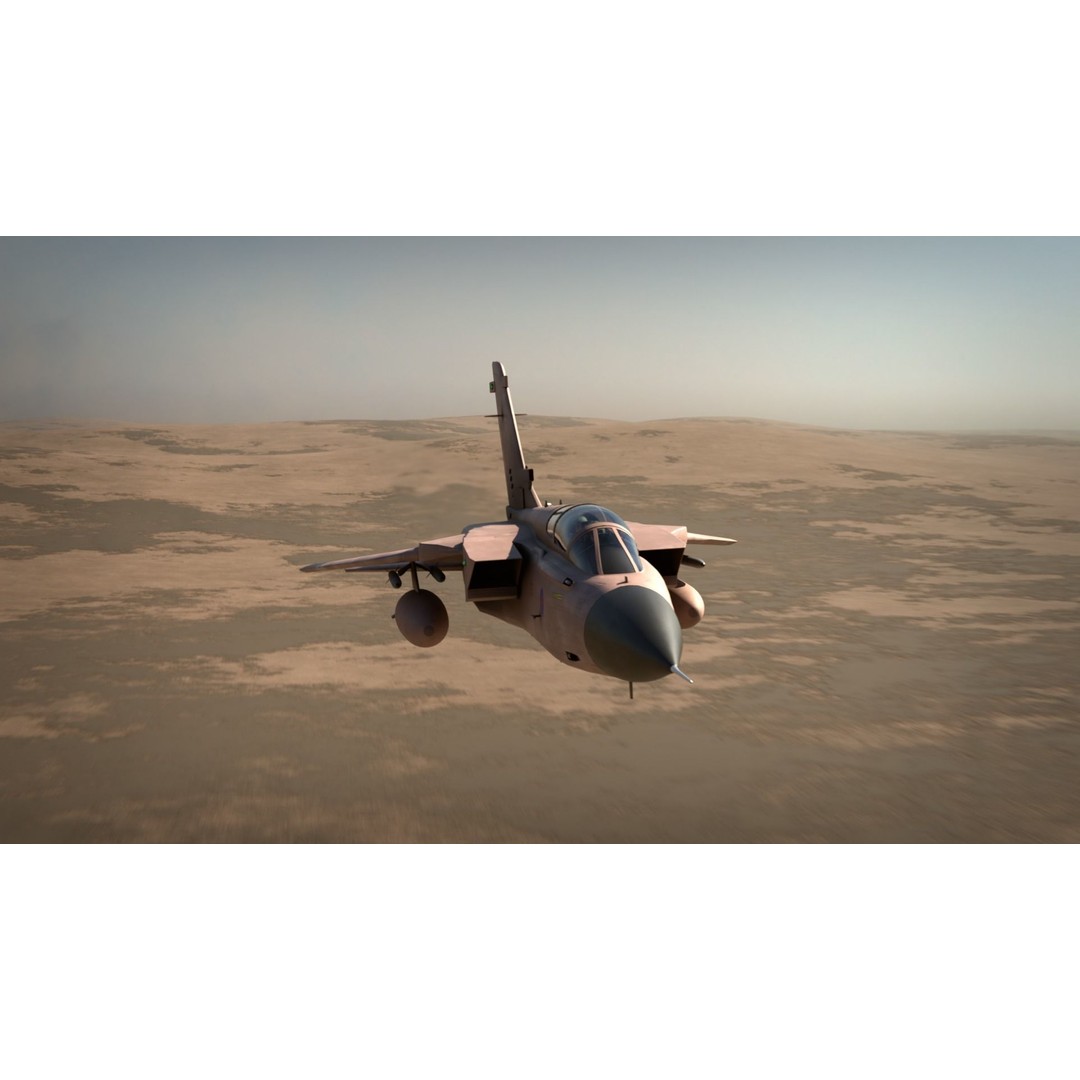 Panavia Tornado ADV F3 3D Model – Rigged Military Aircraft, FBX - View 7