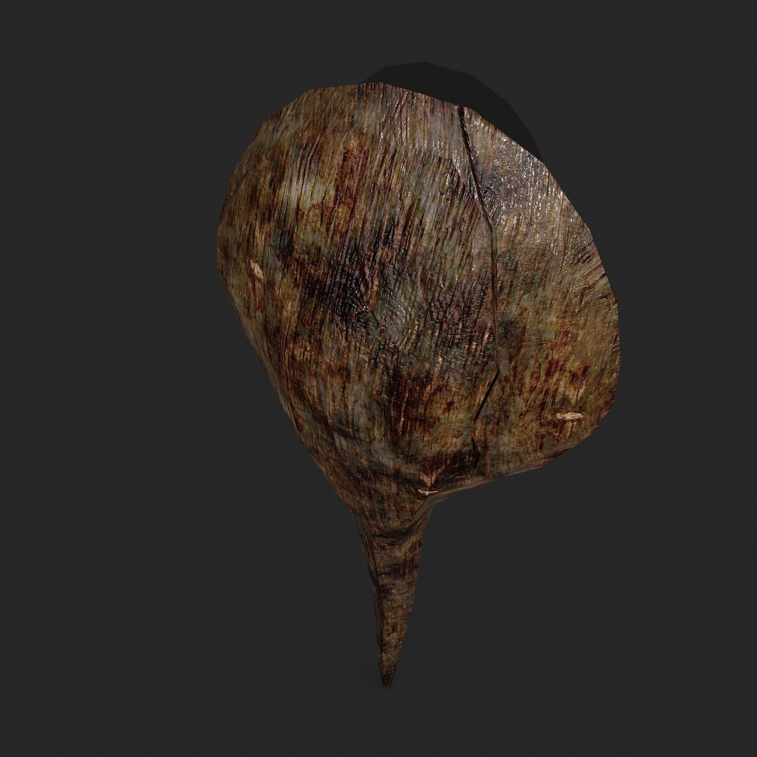Medieval Spoon 3D Model – Low Poly PBR Kitchenware, FBX - View 15