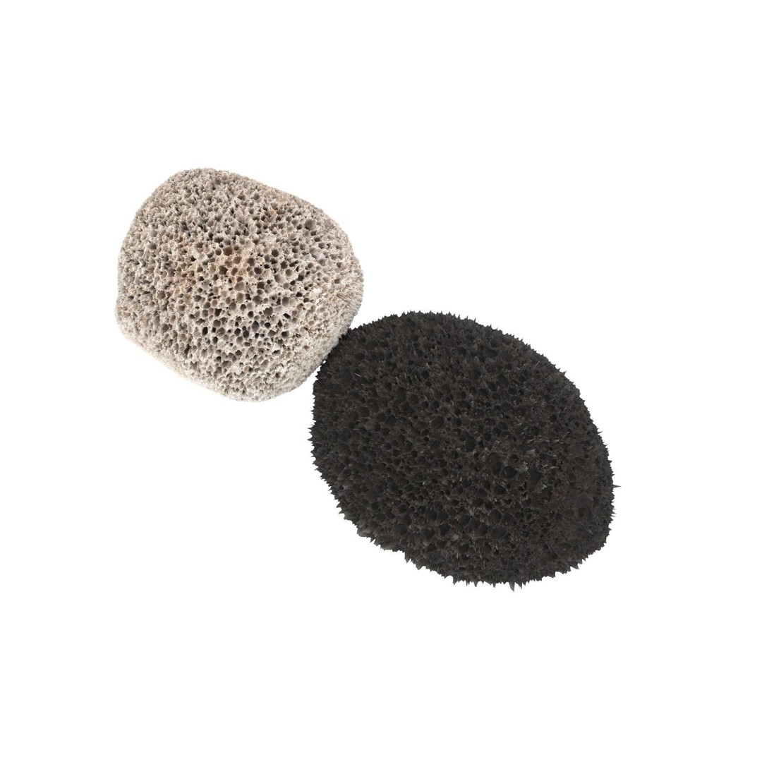Pumice Rocks 3D Model – Textured Bath Scrubber, PBR, FBX, OBJ - View 13