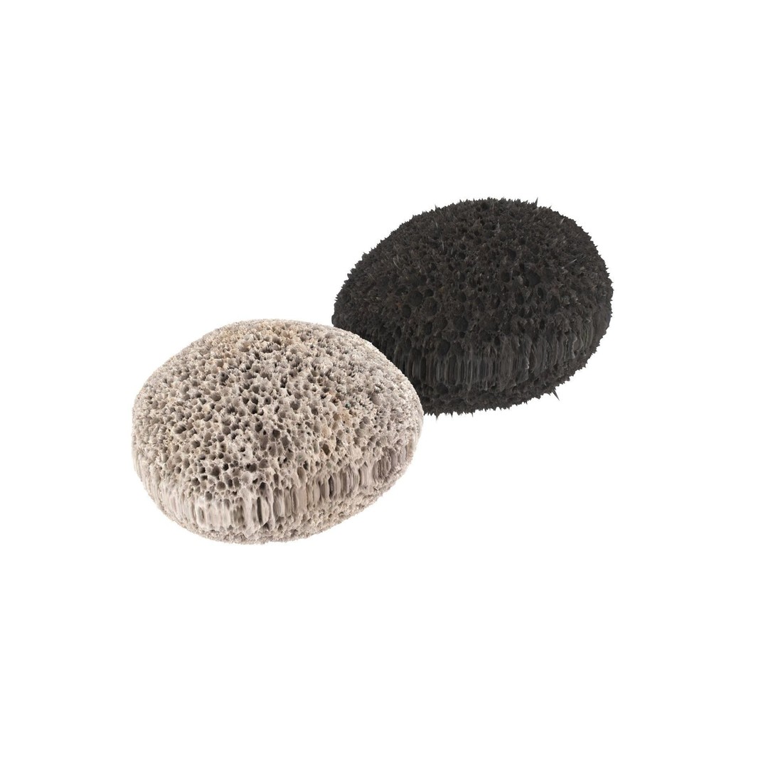 Pumice Rocks 3D Model – Textured Bath Scrubber, PBR, FBX, OBJ - View 14