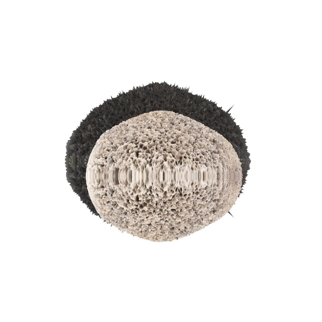 Pumice Rocks 3D Model – Textured Bath Scrubber, PBR, FBX, OBJ - View 17