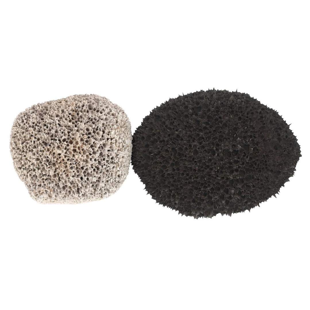 Pumice Rocks 3D Model – Textured Bath Scrubber, PBR, FBX, OBJ - View 18