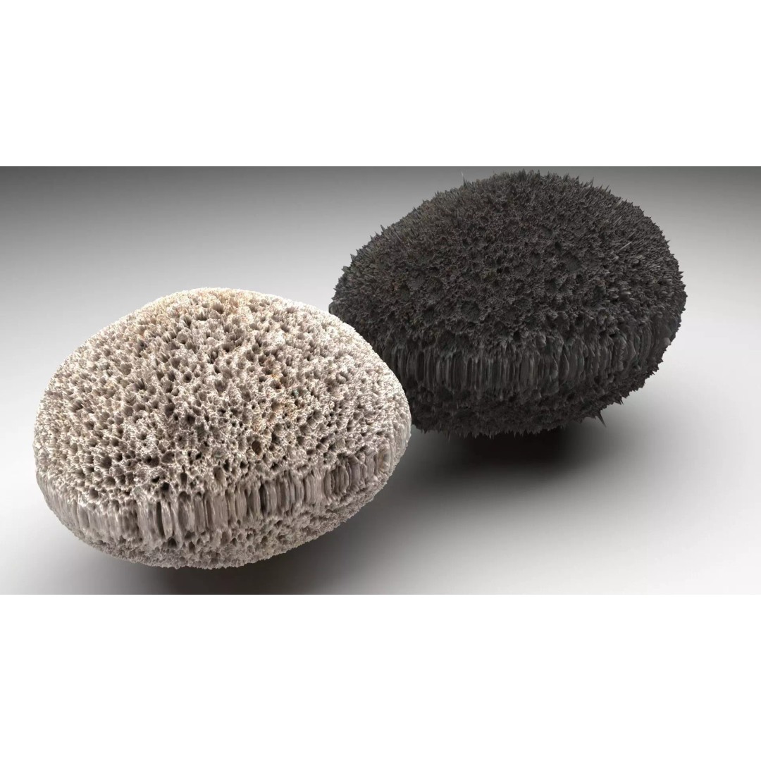 Pumice Rocks 3D Model – Textured Bath Scrubber, PBR, FBX, OBJ - View 2