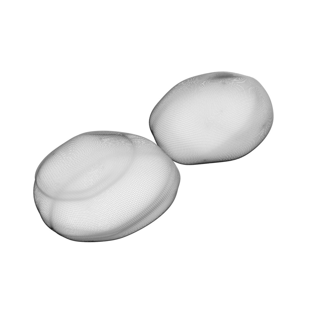 Pumice Rocks 3D Model – Textured Bath Scrubber, PBR, FBX, OBJ - View 21