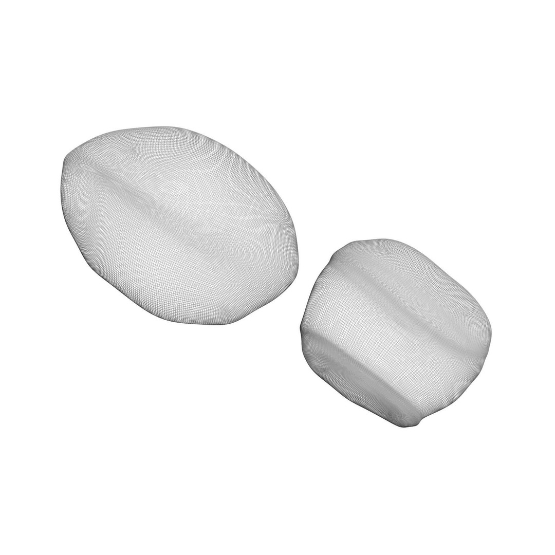 Pumice Rocks 3D Model – Textured Bath Scrubber, PBR, FBX, OBJ - View 24