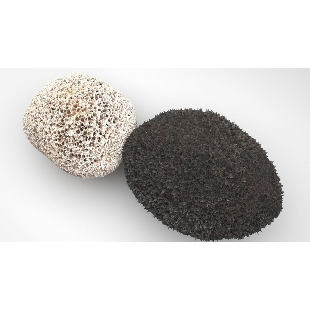 Pumice Rocks 3D Model – Textured Bath Scrubber, PBR, FBX, OBJ - View 3