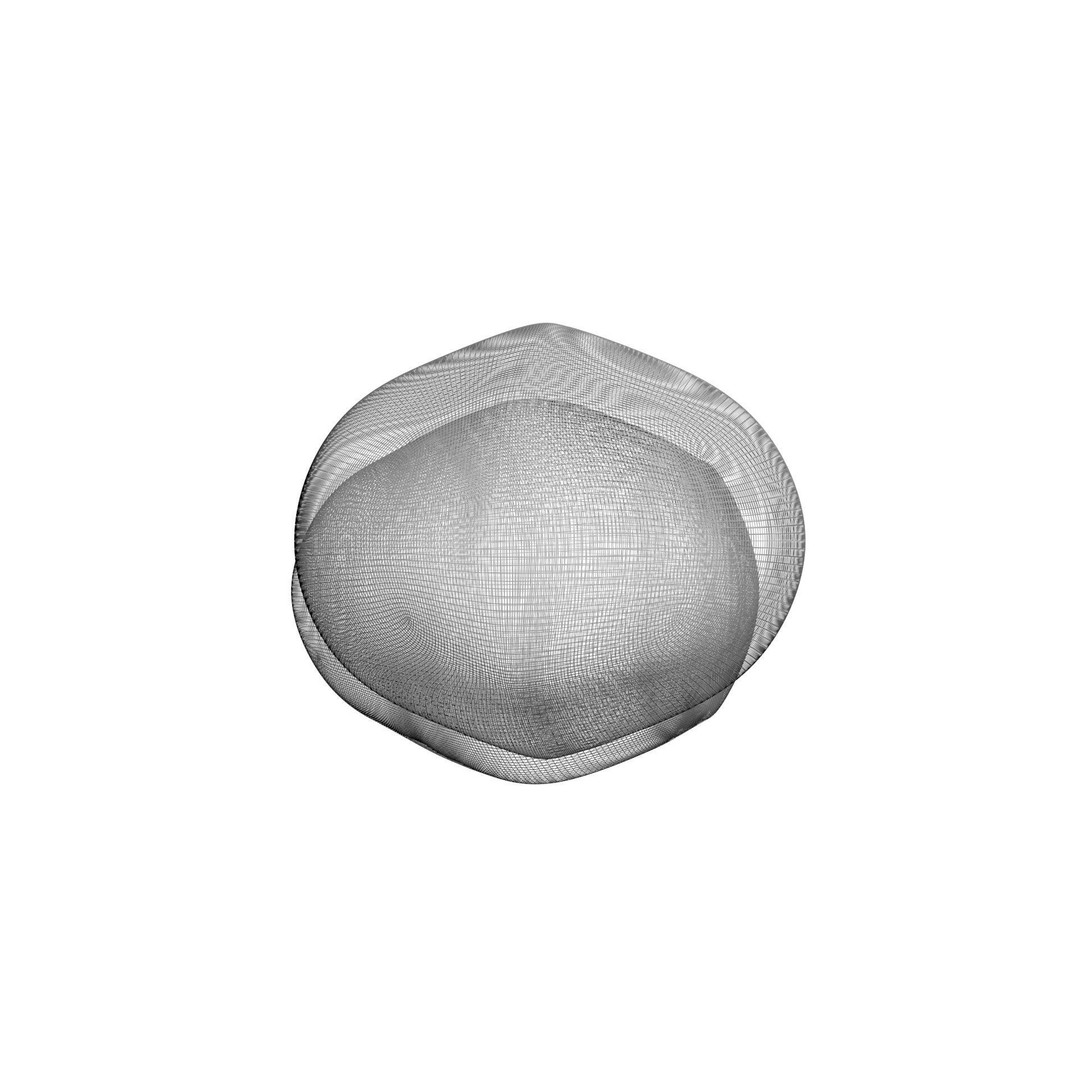 Pumice Rocks 3D Model – Textured Bath Scrubber, PBR, FBX, OBJ - View 31