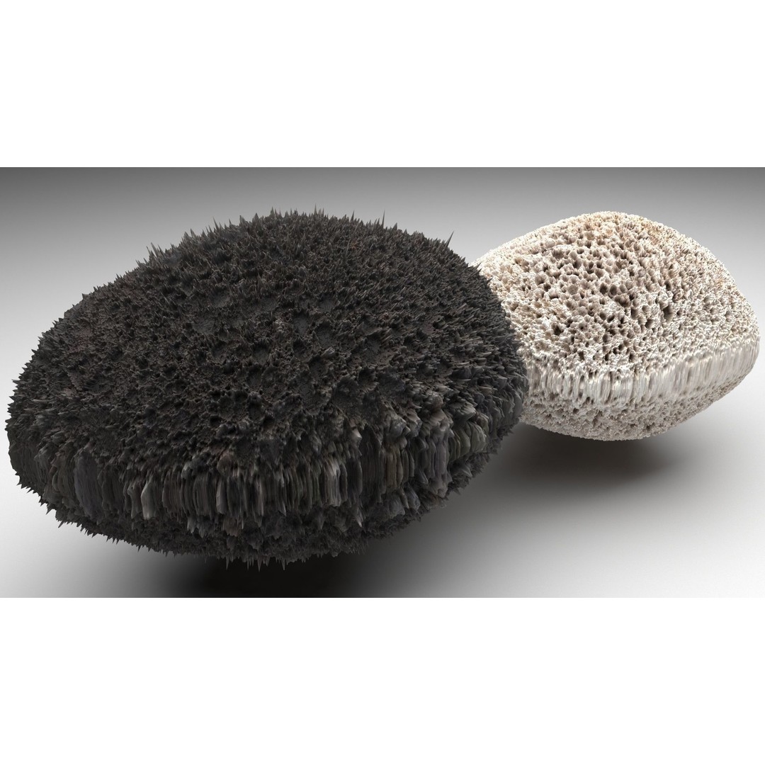 Pumice Rocks 3D Model – Textured Bath Scrubber, PBR, FBX, OBJ - View 4
