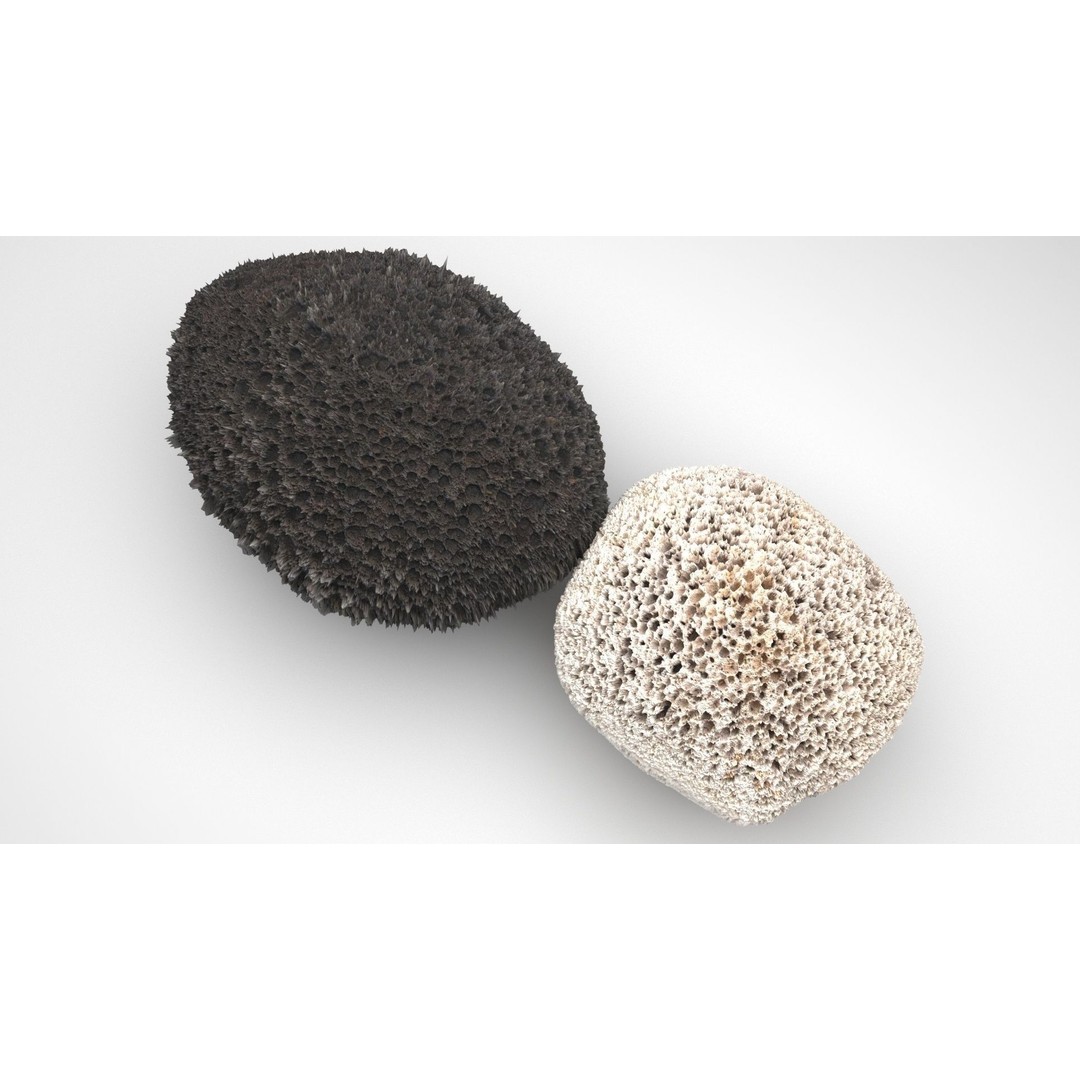 Pumice Rocks 3D Model – Textured Bath Scrubber, PBR, FBX, OBJ - View 5