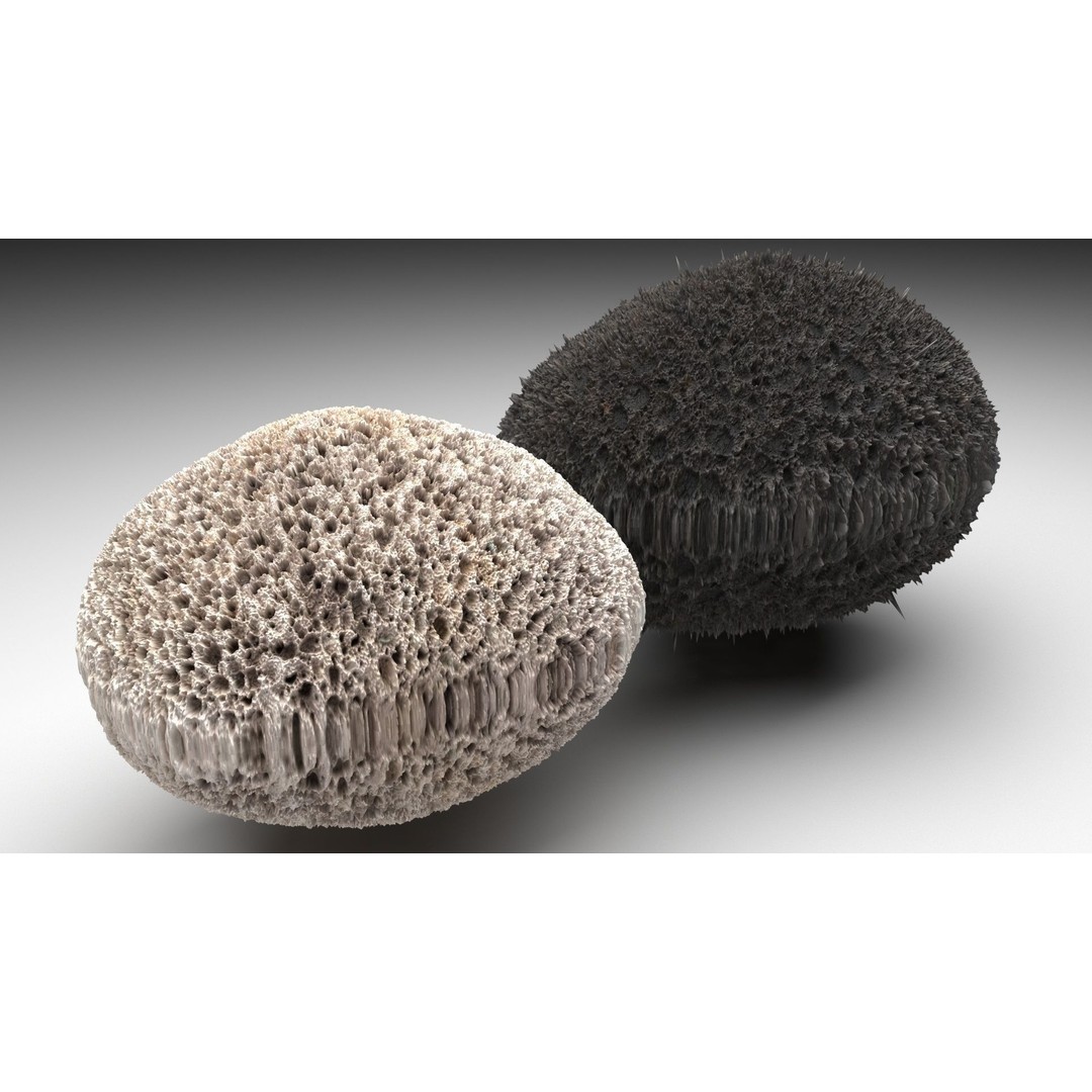 Pumice Rocks 3D Model – Textured Bath Scrubber, PBR, FBX, OBJ - View 6