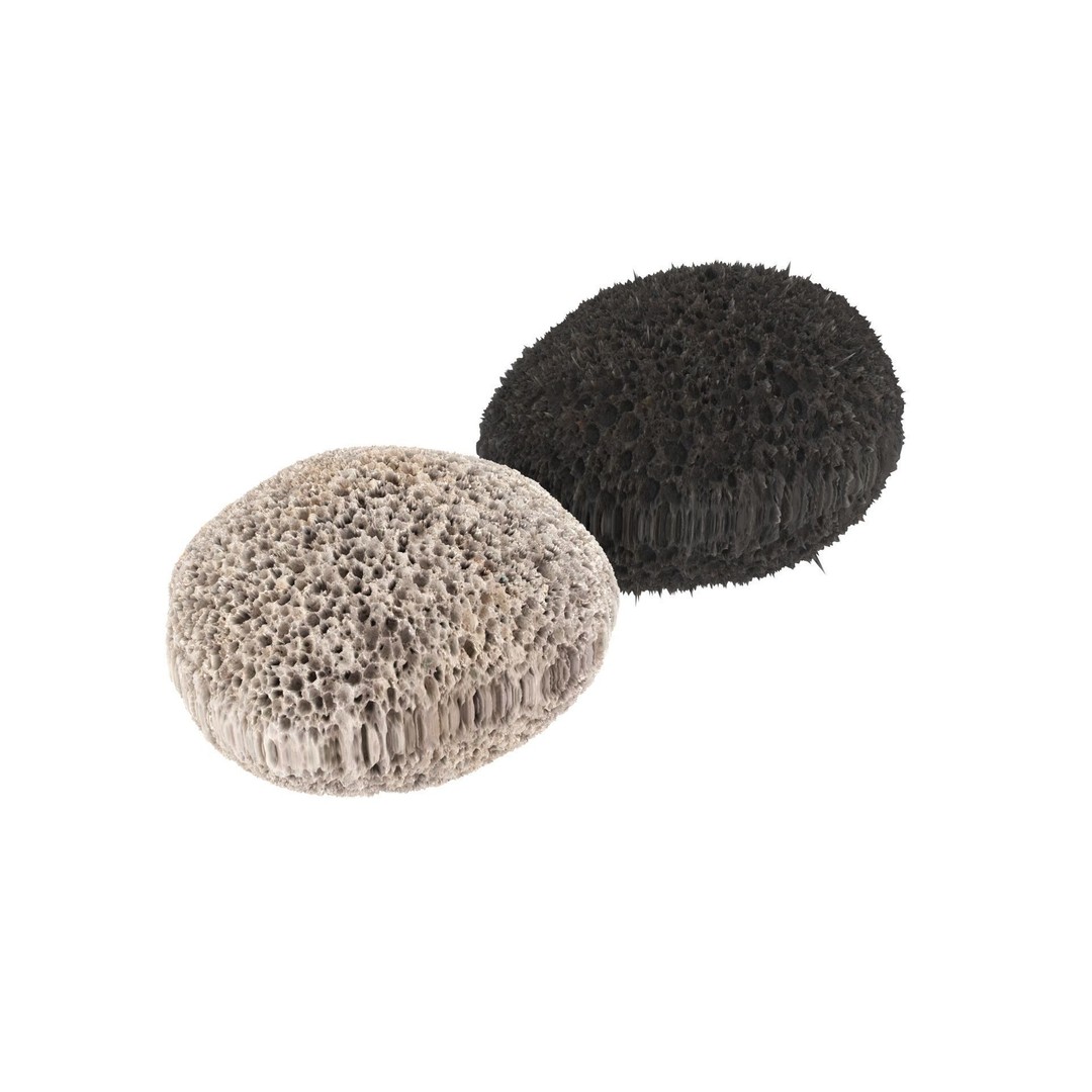 Pumice Rocks 3D Model – Textured Bath Scrubber, PBR, FBX, OBJ - View 9