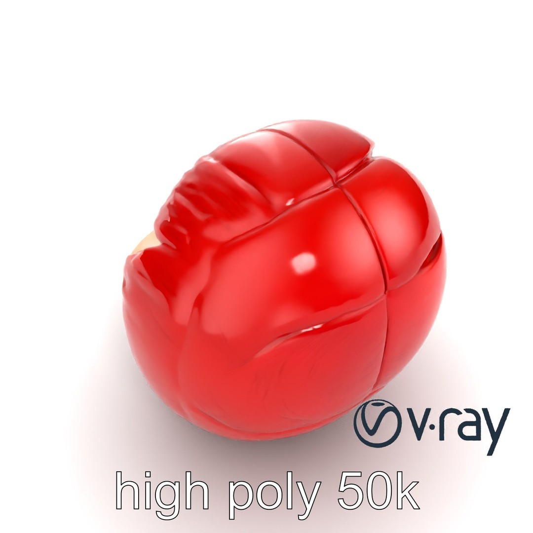 Realistic Human Kidney 3D Model – Low Poly Medical Asset, FBX - View 12