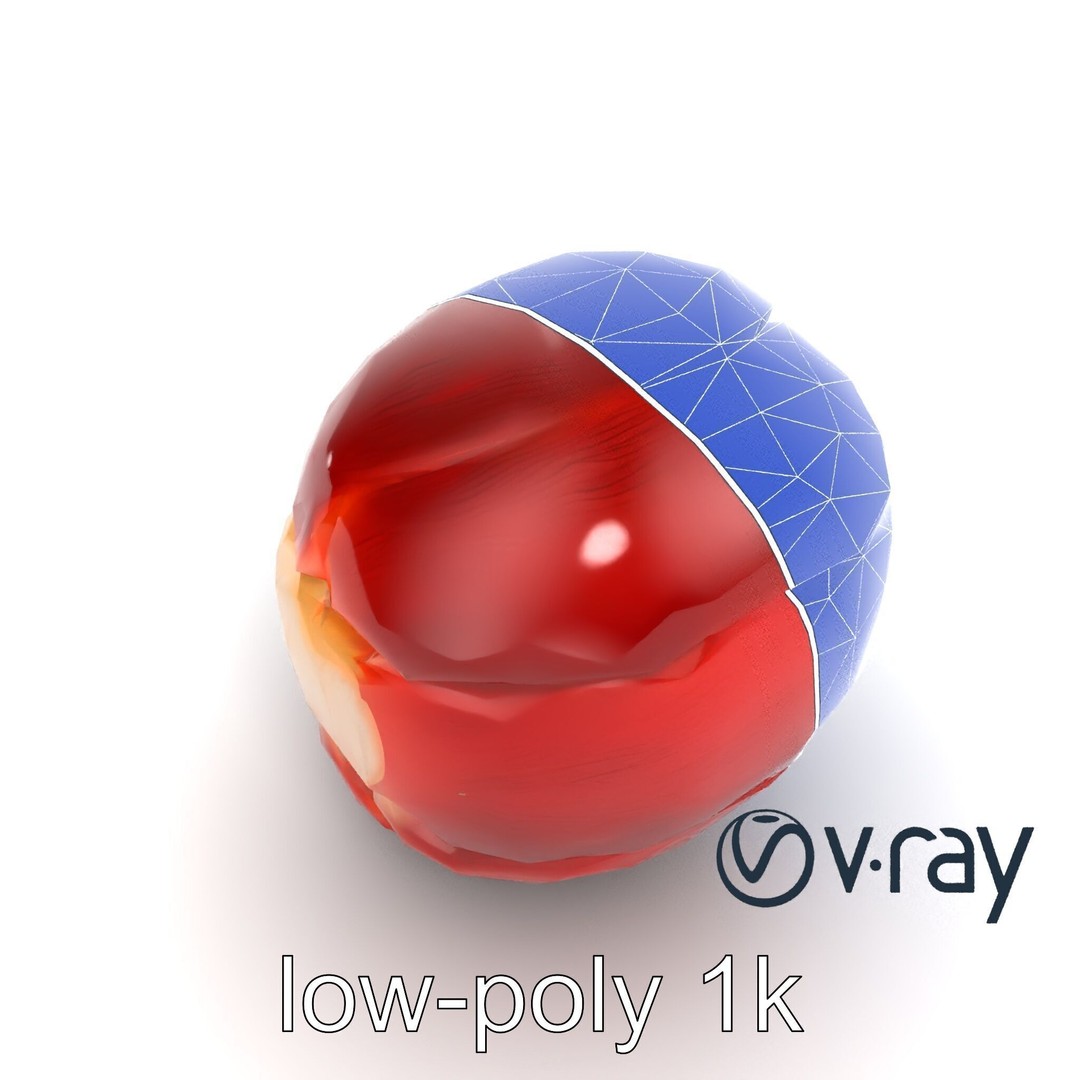 Realistic Human Kidney 3D Model – Low Poly Medical Asset, FBX - View 15