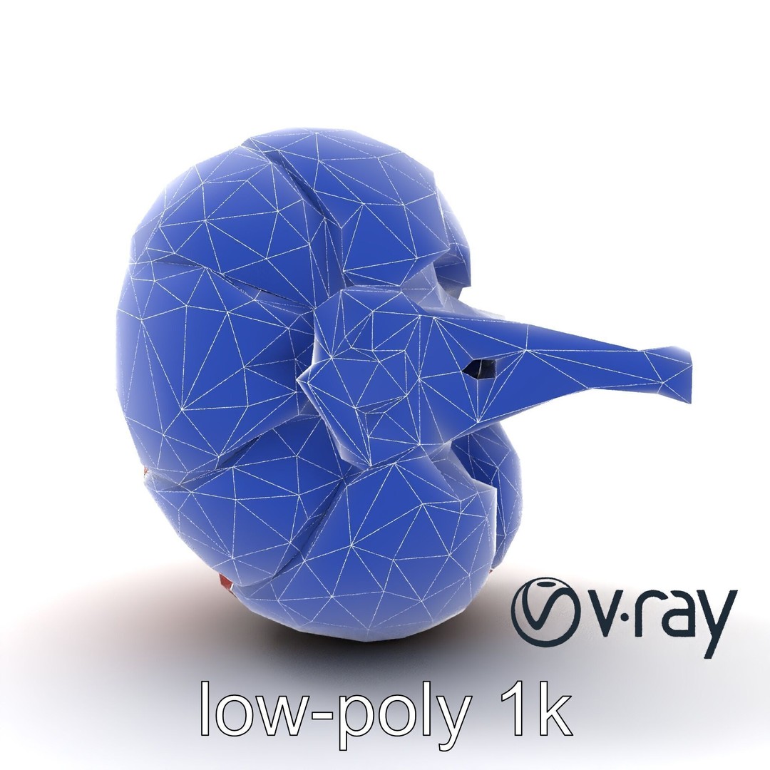 Realistic Human Kidney 3D Model – Low Poly Medical Asset, FBX - View 16