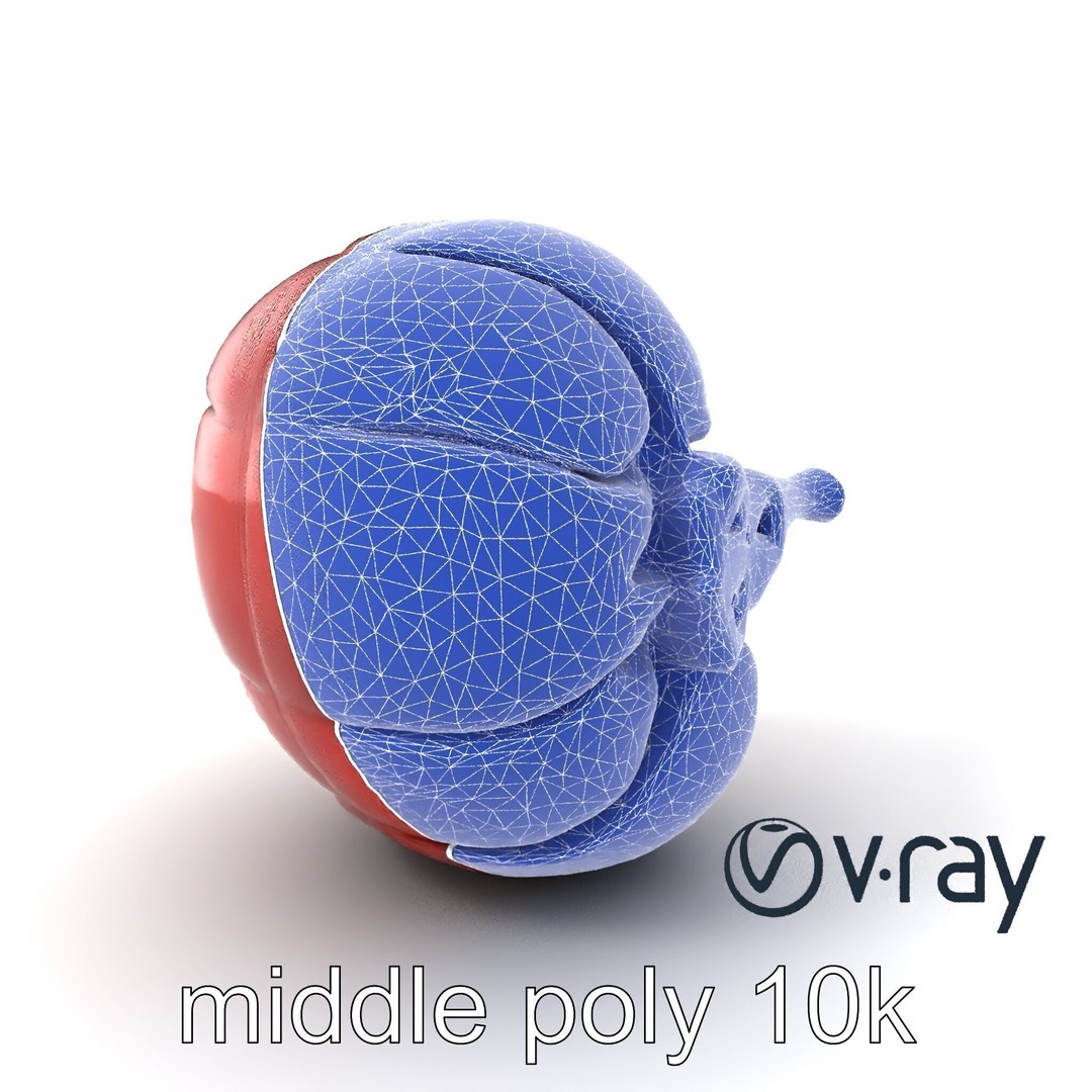 Realistic Human Kidney 3D Model – Low Poly Medical Asset, FBX - View 18