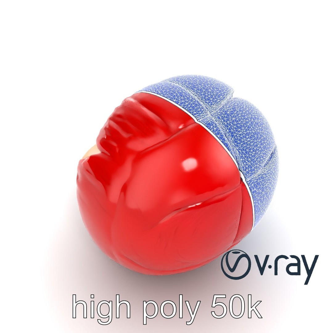 Realistic Human Kidney 3D Model – Low Poly Medical Asset, FBX - View 23