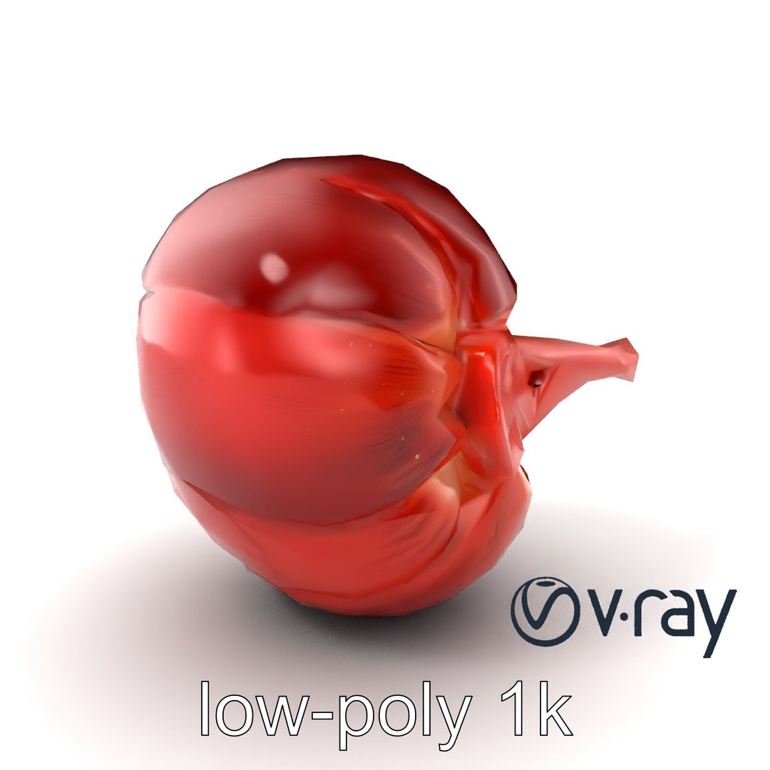 Realistic Human Kidney 3D Model – Low Poly Medical Asset, FBX - View 3