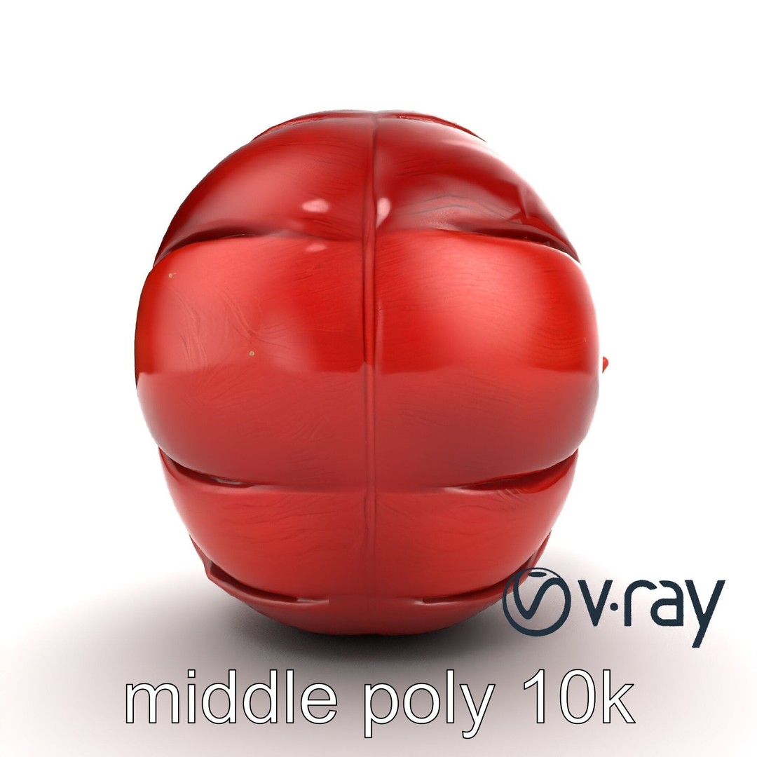 Realistic Human Kidney 3D Model – Low Poly Medical Asset, FBX - View 31