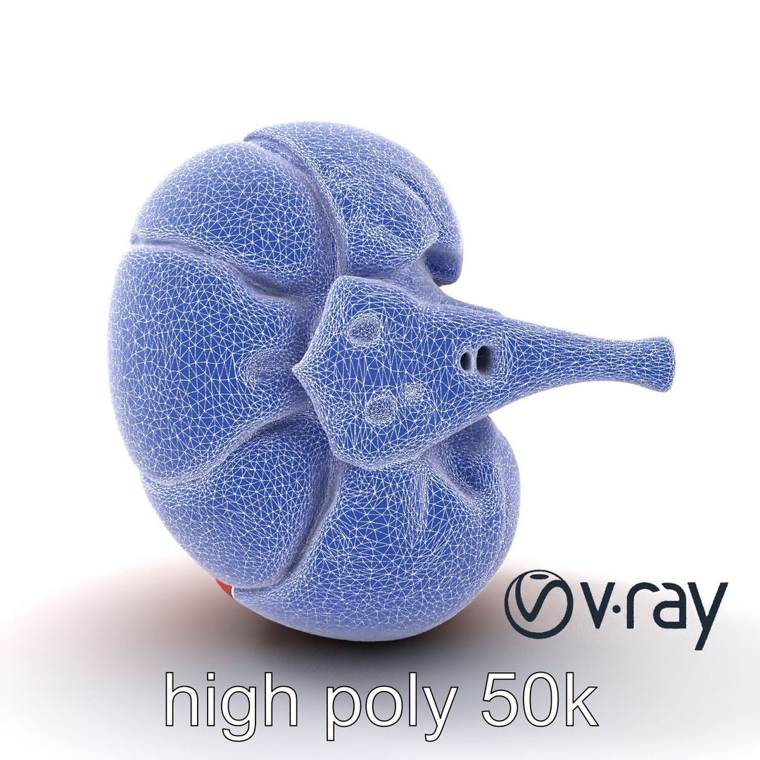 Realistic Human Kidney 3D Model – Low Poly Medical Asset, FBX - View 32