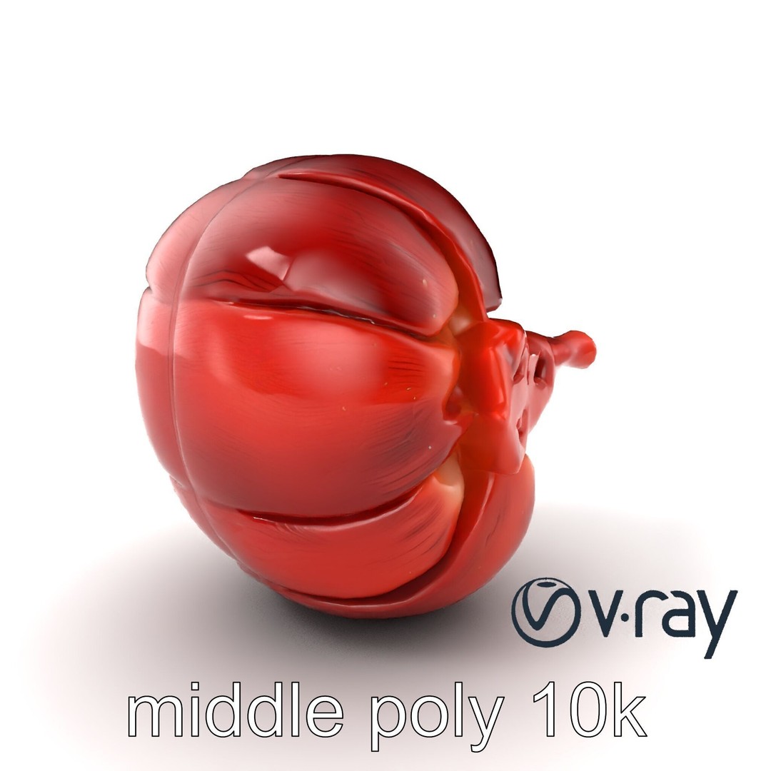 Realistic Human Kidney 3D Model – Low Poly Medical Asset, FBX - View 4