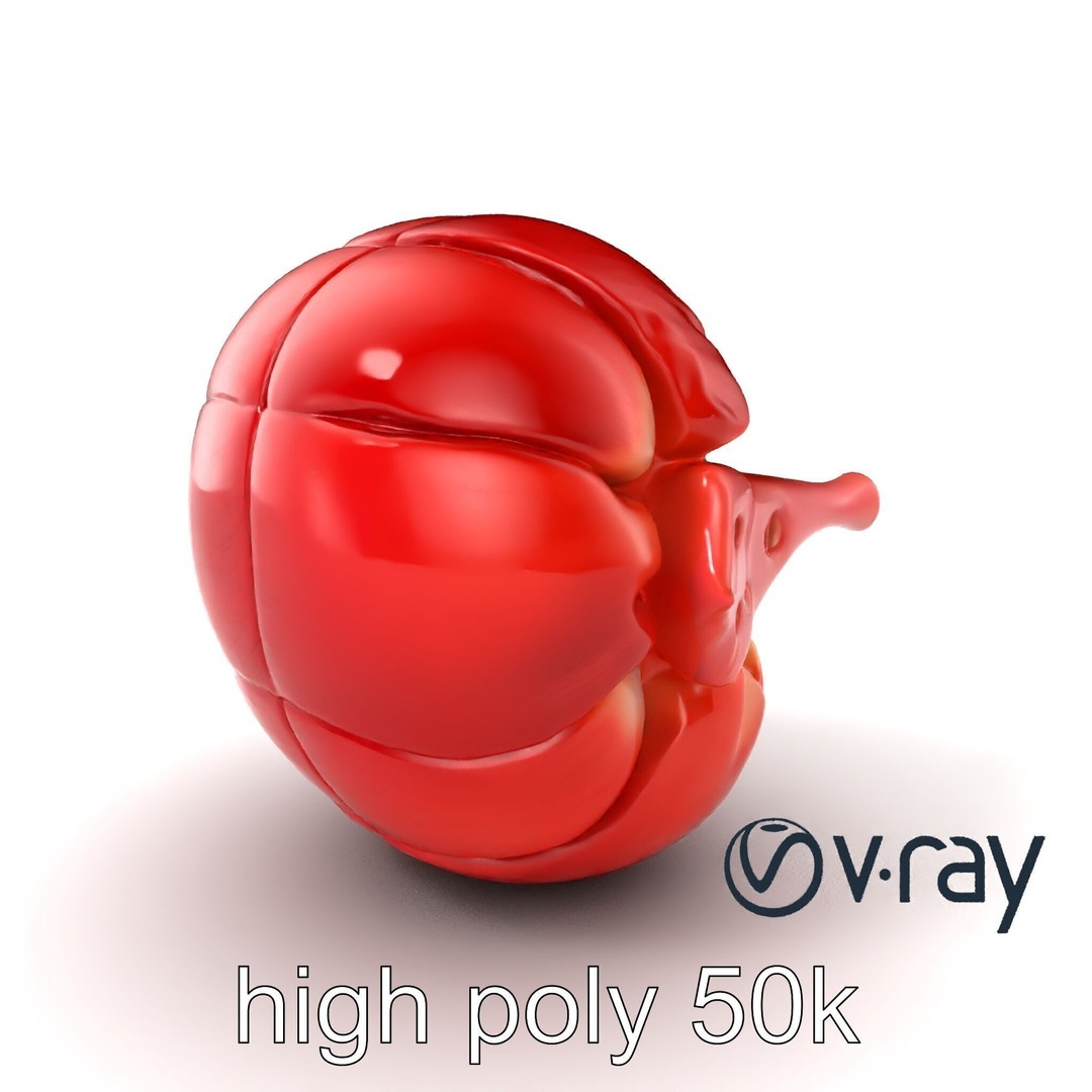 Realistic Human Kidney 3D Model – Low Poly Medical Asset, FBX - View 6