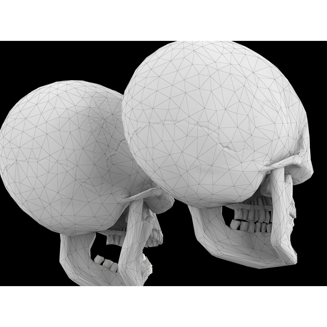 Human Skull 3D Model – Low Poly Game Asset, PBR Textures, FBX