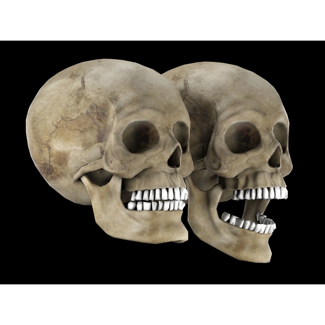 Human Skull 3D Model – Low Poly Game Asset, PBR Textures, FBX - View 10