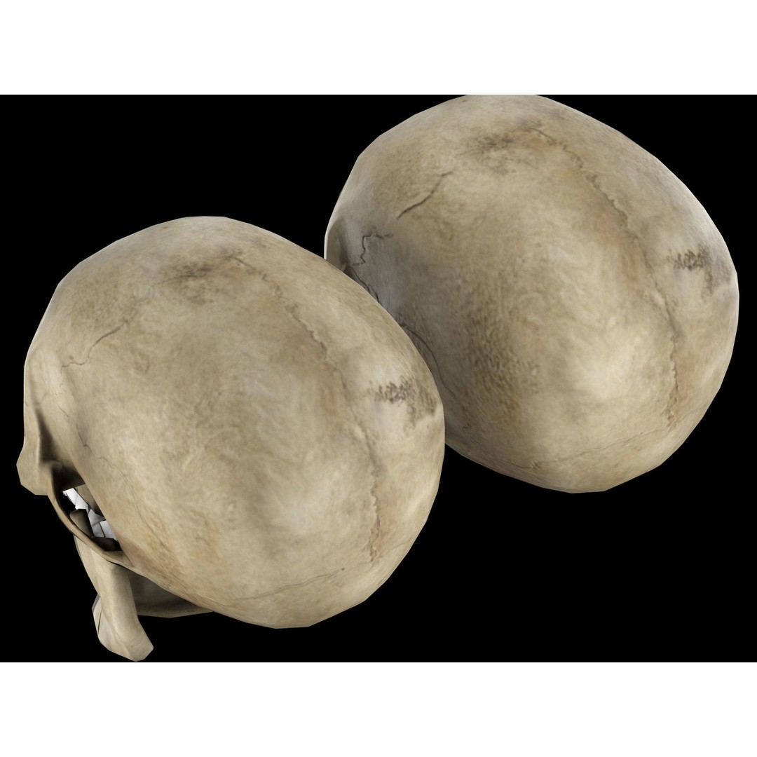 Human Skull 3D Model – Low Poly Game Asset, PBR Textures, FBX - View 12