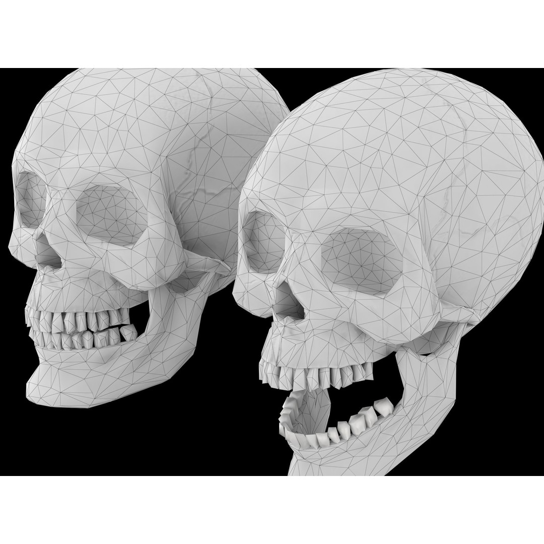 Human Skull 3D Model – Low Poly Game Asset, PBR Textures, FBX - View 16