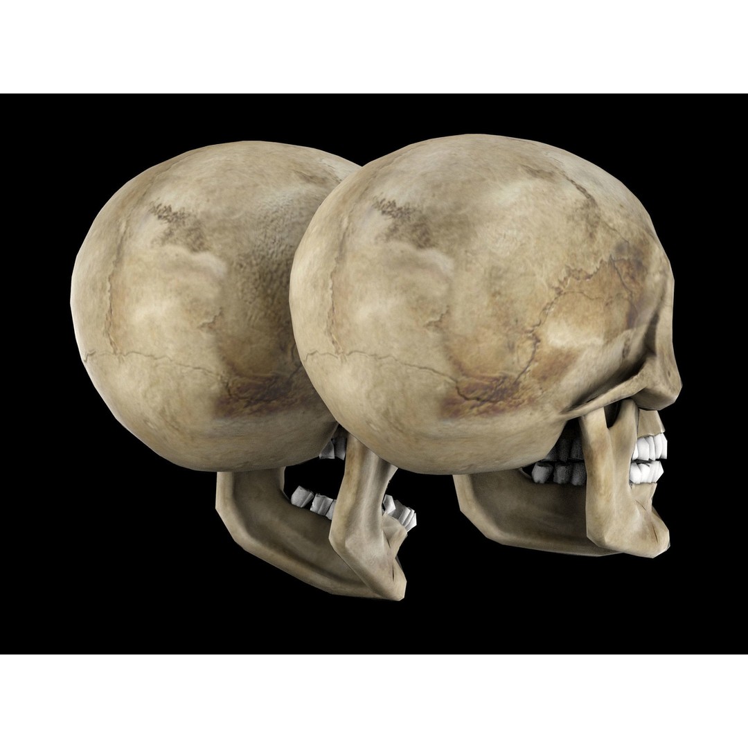 Human Skull 3D Model – Low Poly Game Asset, PBR Textures, FBX - View 8