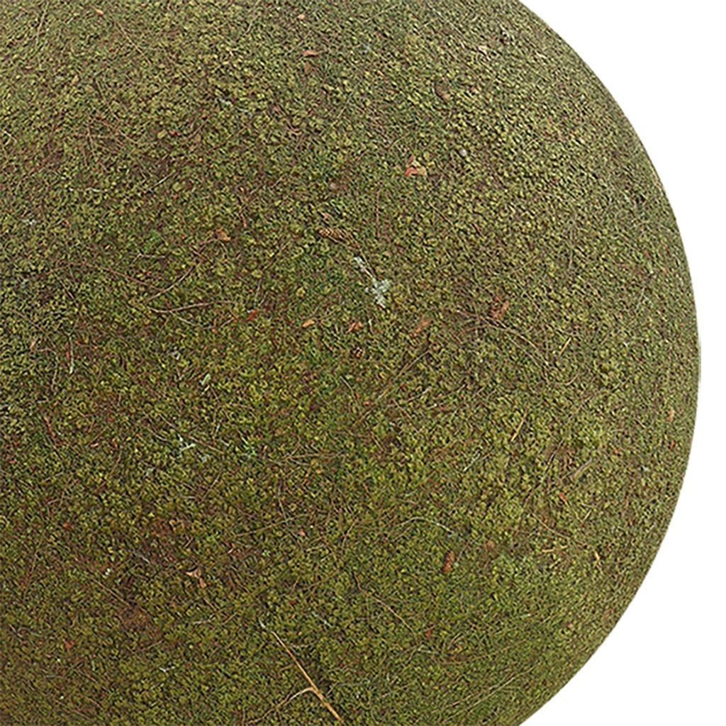 Moss Seamless Texture Pack – 2K PBR Textures for 3D Models - View 4