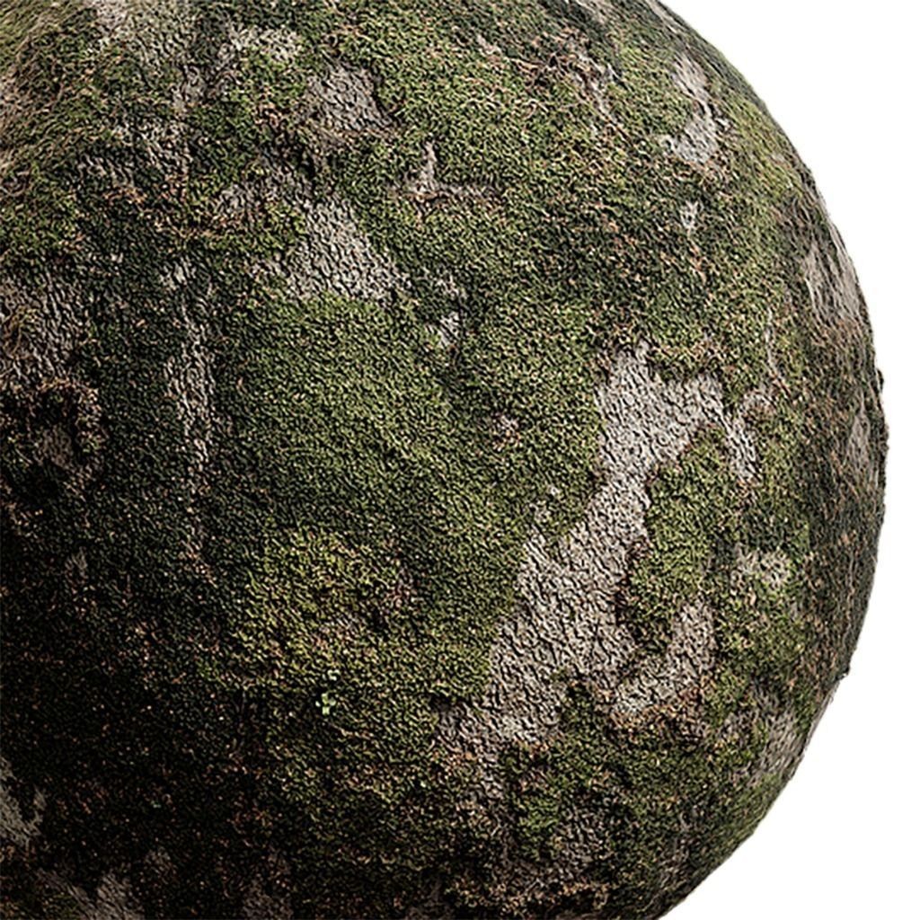 Moss Seamless Texture Pack – 2K PBR Textures for 3D Models - View 5